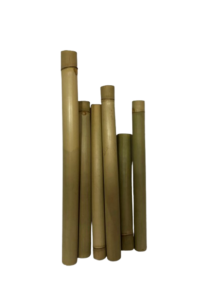 Bamboo (Lemang)